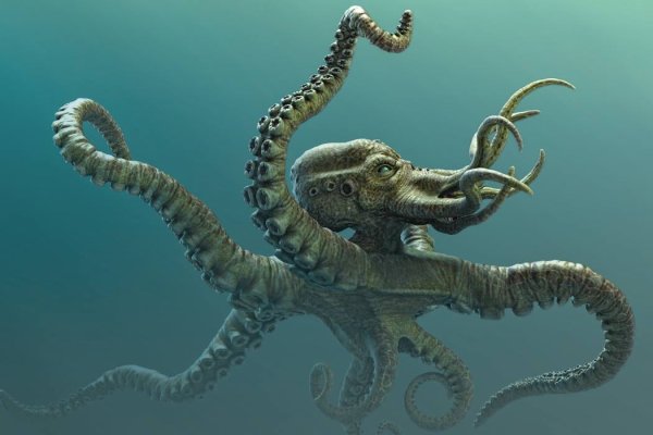 Kraken19 at