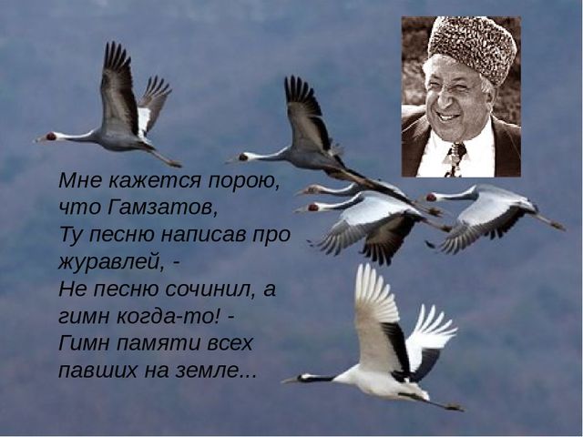 Кракен ссылка стор